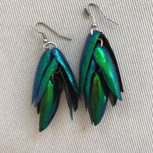 Iridescent beetle wing earrings